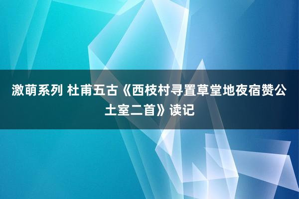 激萌系列 杜甫五古《西枝村寻置草堂地夜宿赞公土室二首》读记