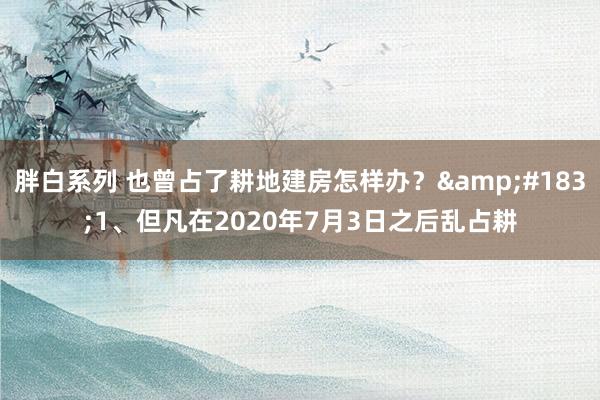 胖白系列 也曾占了耕地建房怎样办？&#183;1、但凡在2020年7月3日之后乱占耕