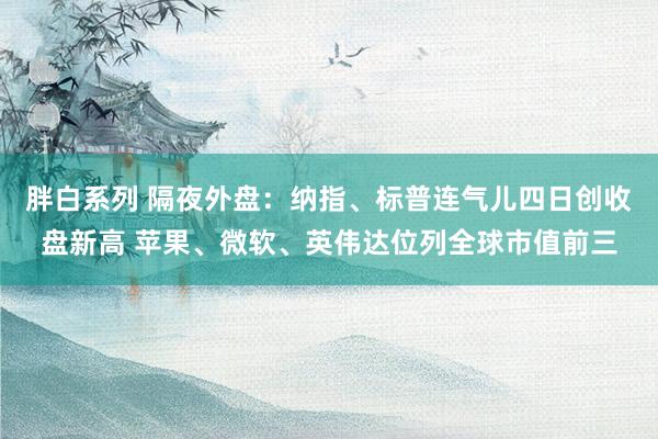 胖白系列 隔夜外盘：纳指、标普连气儿四日创收盘新高 苹果、微软、英伟达位列全球市值前三