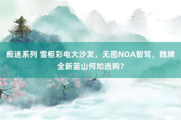 痴迷系列 雪柜彩电大沙发，无图NOA智驾，魏牌全新蓝山何如选购？