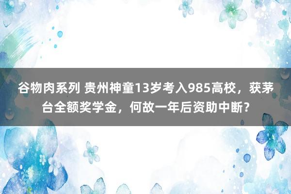 谷物肉系列 贵州神童13岁考入985高校，获茅台全额奖学金，何故一年后资助中断？