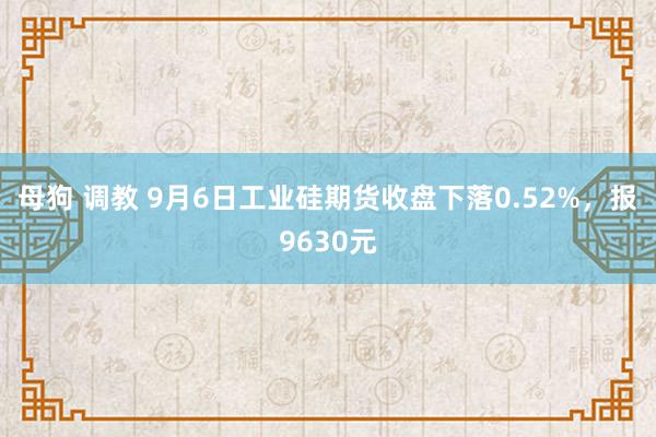 母狗 调教 9月6日工业硅期货收盘下落0.52%，报9630元