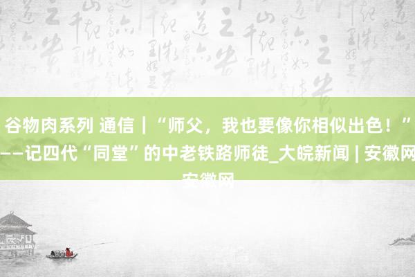 谷物肉系列 通信｜“师父，我也要像你相似出色！”——记四代“同堂”的中老铁路师徒_大皖新闻 | 安徽网