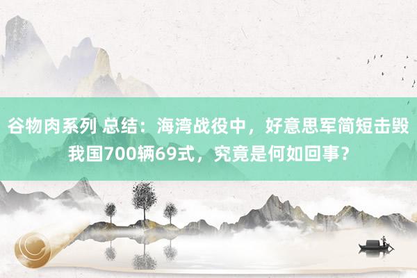 谷物肉系列 总结：海湾战役中，好意思军简短击毁我国700辆69式，究竟是何如回事？