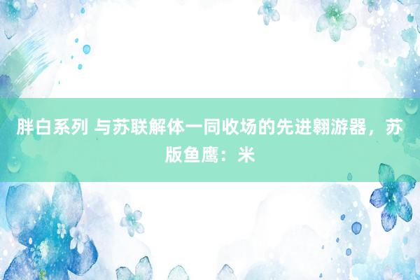 胖白系列 与苏联解体一同收场的先进翱游器，苏版鱼鹰：米