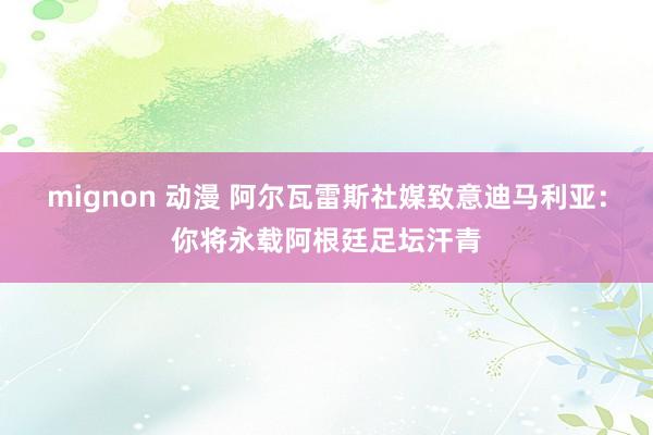 mignon 动漫 阿尔瓦雷斯社媒致意迪马利亚：你将永载阿根廷足坛汗青