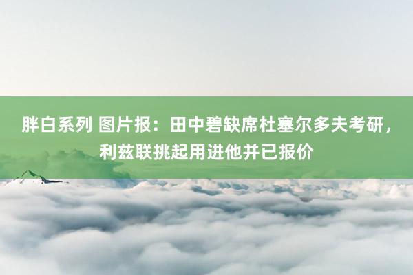 胖白系列 图片报：田中碧缺席杜塞尔多夫考研，利兹联挑起用进他并已报价