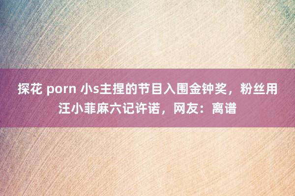 探花 porn 小s主捏的节目入围金钟奖，粉丝用汪小菲麻六记许诺，网友：离谱