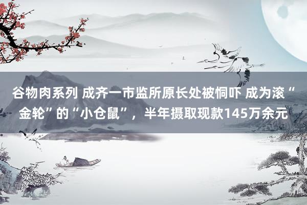 谷物肉系列 成齐一市监所原长处被恫吓 成为滚“金轮”的“小仓鼠”，半年摄取现款145万余元