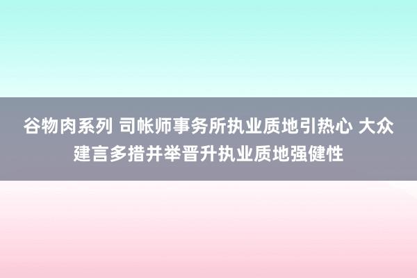 谷物肉系列 司帐师事务所执业质地引热心 大众建言多措并举晋升执业质地强健性