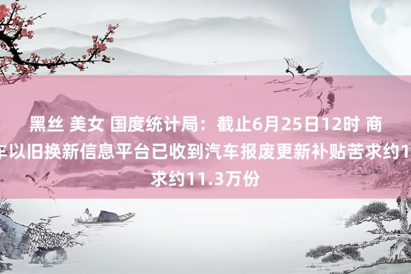 黑丝 美女 国度统计局：截止6月25日12时 商务部汽车以旧换新信息平台已收到汽车报废更新补贴苦求约11.3万份