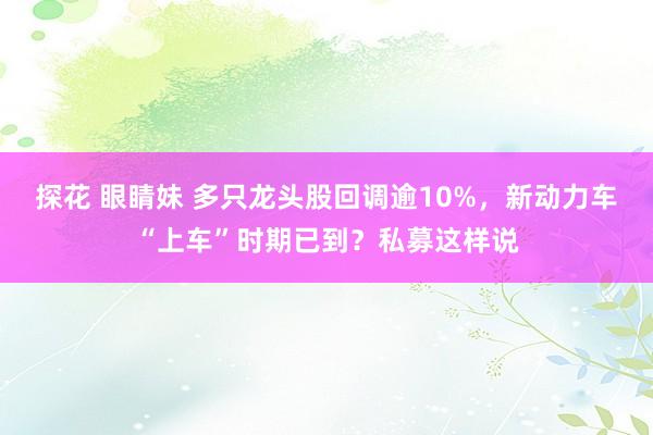 探花 眼睛妹 多只龙头股回调逾10%，新动力车“上车”时期已到？私募这样说