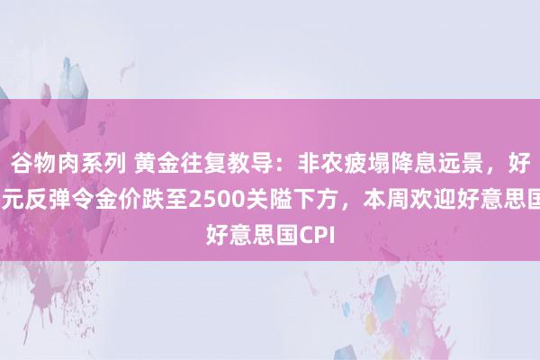 谷物肉系列 黄金往复教导：非农疲塌降息远景，好意思元反弹令金价跌至2500关隘下方，本周欢迎好意思国CPI