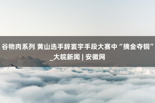 谷物肉系列 黄山选手辞寰宇手段大赛中“摘金夺铜”_大皖新闻 | 安徽网