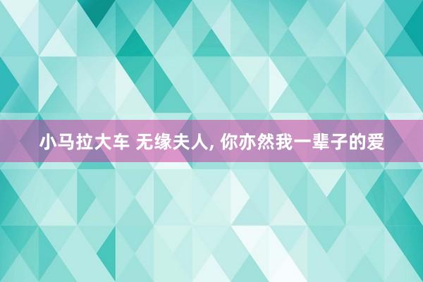 小马拉大车 无缘夫人， 你亦然我一辈子的爱