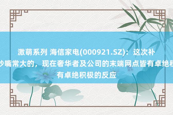 激萌系列 海信家电(000921.SZ)：这次补贴的力度吵嘴常大的，现在奢华者及公司的末端网点皆有卓绝积极的反应