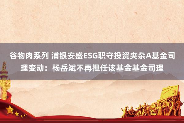 谷物肉系列 浦银安盛ESG职守投资夹杂A基金司理变动：杨岳斌不再担任该基金基金司理