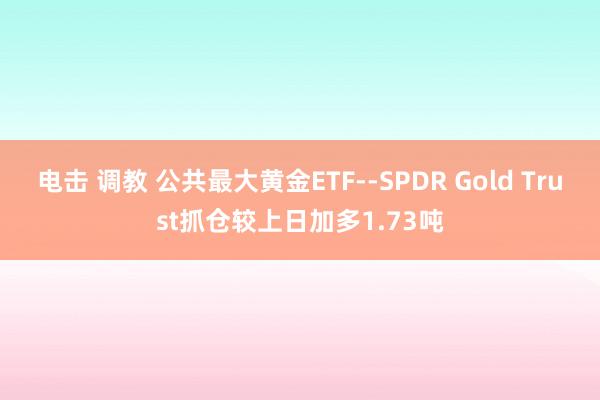 电击 调教 公共最大黄金ETF--SPDR Gold Trust抓仓较上日加多1.73吨