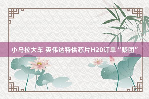 小马拉大车 英伟达特供芯片H20订单“疑团”