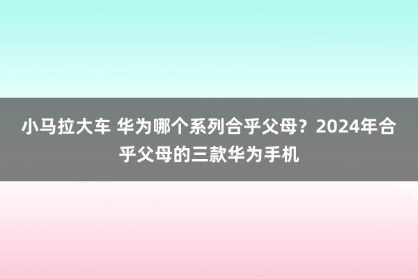 小马拉大车 华为哪个系列合乎父母？2024年合乎父母的三款华为手机