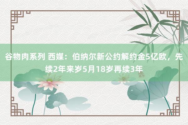 谷物肉系列 西媒：伯纳尔新公约解约金5亿欧，先续2年来岁5月18岁再续3年