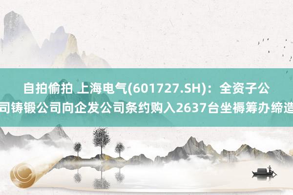 自拍偷拍 上海电气(601727.SH)：全资子公司铸锻公司向企发公司条约购入2637台坐褥筹办缔造