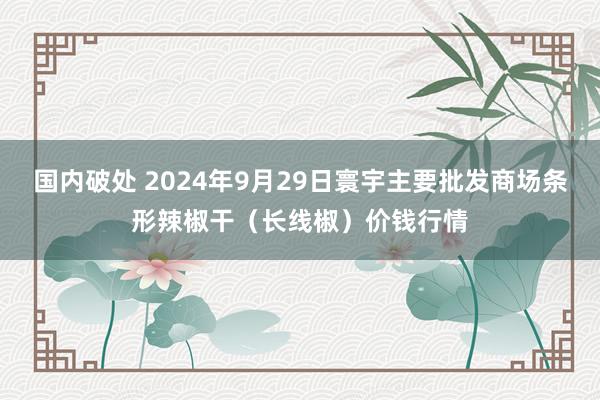 国内破处 2024年9月29日寰宇主要批发商场条形辣椒干（长线椒）价钱行情