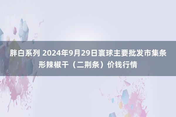 胖白系列 2024年9月29日寰球主要批发市集条形辣椒干（二荆条）价钱行情