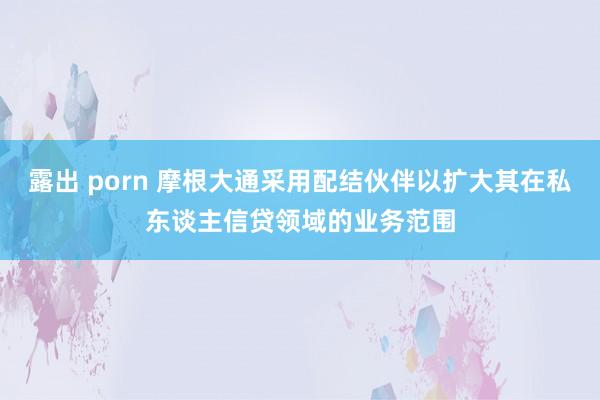 露出 porn 摩根大通采用配结伙伴以扩大其在私东谈主信贷领域的业务范围