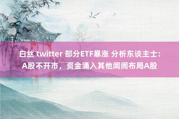 白丝 twitter 部分ETF暴涨 分析东谈主士：A股不开市，资金涌入其他阛阓布局A股