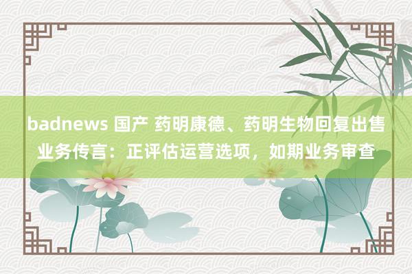 badnews 国产 药明康德、药明生物回复出售业务传言：正评估运营选项，如期业务审查