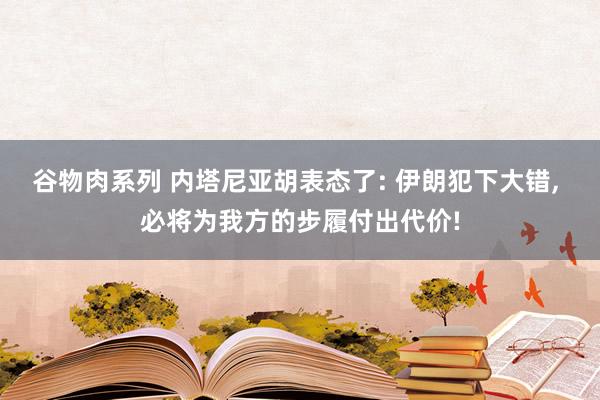 谷物肉系列 内塔尼亚胡表态了: 伊朗犯下大错， 必将为我方的步履付出代价!