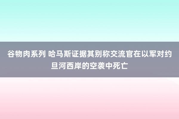 谷物肉系列 哈马斯证据其别称交流官在以军对约旦河西岸的空袭中死亡