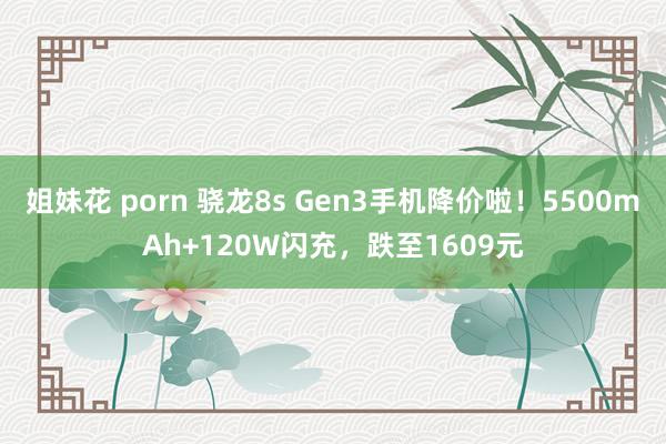 姐妹花 porn 骁龙8s Gen3手机降价啦！5500mAh+120W闪充，跌至1609元