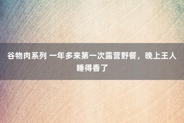 谷物肉系列 一年多来第一次露营野餐，晚上王人睡得香了