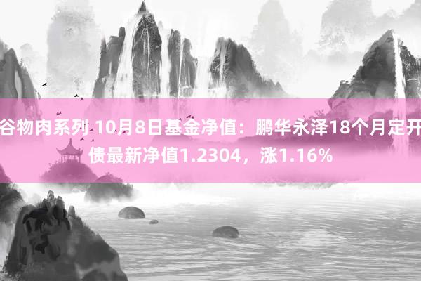 谷物肉系列 10月8日基金净值：鹏华永泽18个月定开债最新净值1.2304，涨1.16%