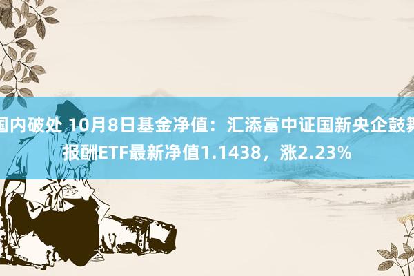 国内破处 10月8日基金净值：汇添富中证国新央企鼓舞报酬ETF最新净值1.1438，涨2.23%