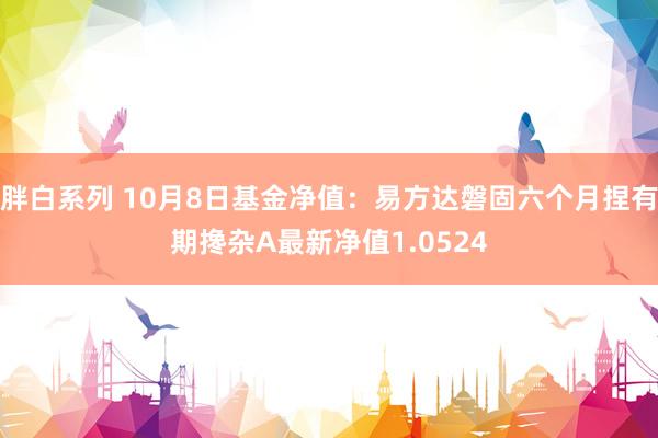 胖白系列 10月8日基金净值：易方达磐固六个月捏有期搀杂A最新净值1.0524