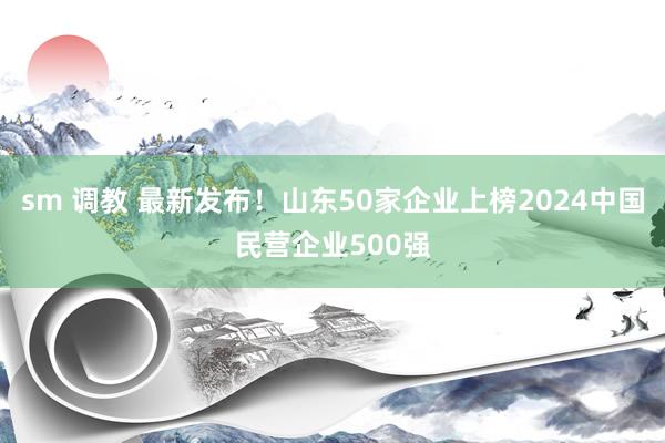 sm 调教 最新发布！山东50家企业上榜2024中国民营企业500强