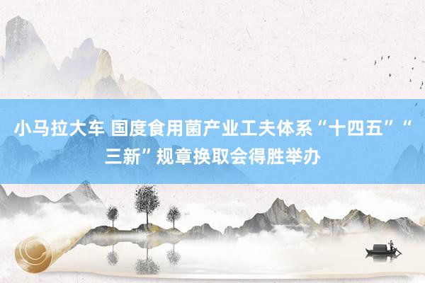 小马拉大车 国度食用菌产业工夫体系“十四五”“三新”规章换取会得胜举办