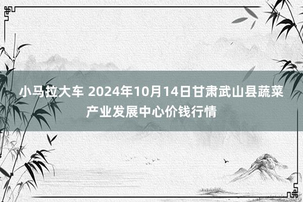 小马拉大车 2024年10月14日甘肃武山县蔬菜产业发展中心价钱行情