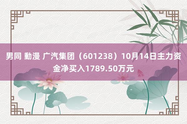 男同 動漫 广汽集团（601238）10月14日主力资金净买入1789.50万元