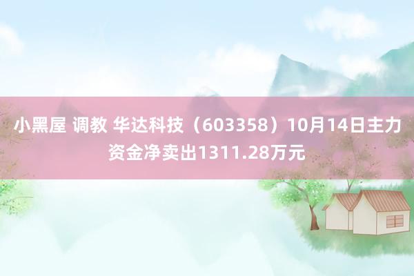 小黑屋 调教 华达科技（603358）10月14日主力资金净卖出1311.28万元