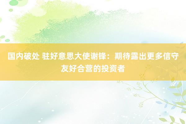 国内破处 驻好意思大使谢锋：期待露出更多信守友好合营的投资者