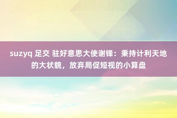 suzyq 足交 驻好意思大使谢锋：秉持计利天地的大状貌，放弃局促短视的小算盘