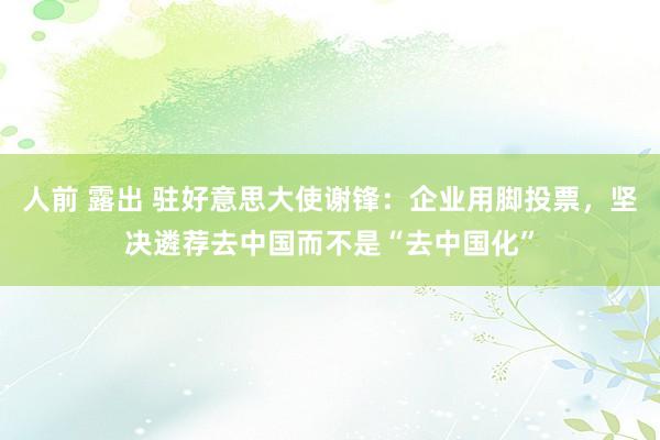 人前 露出 驻好意思大使谢锋：企业用脚投票，坚决遴荐去中国而不是“去中国化”