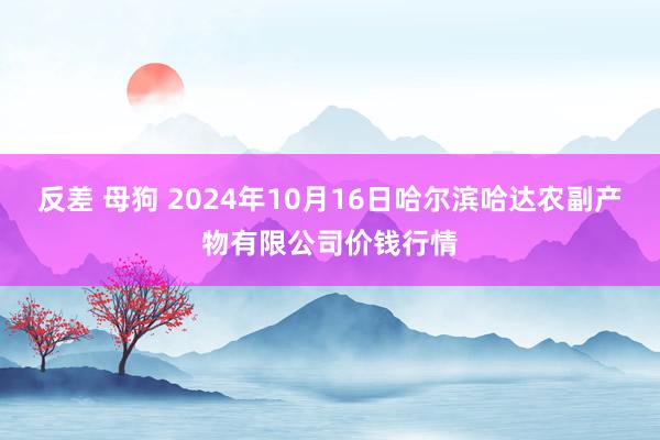 反差 母狗 2024年10月16日哈尔滨哈达农副产物有限公司价钱行情