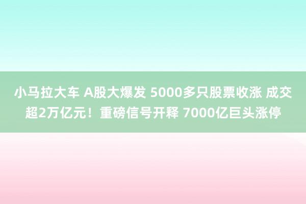 小马拉大车 A股大爆发 5000多只股票收涨 成交超2万亿元！重磅信号开释 7000亿巨头涨停