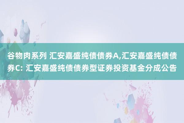 谷物肉系列 汇安嘉盛纯债债券A，汇安嘉盛纯债债券C: 汇安嘉盛纯债债券型证券投资基金分成公告