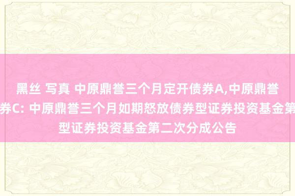 黑丝 写真 中原鼎誉三个月定开债券A，中原鼎誉三个月定开债券C: 中原鼎誉三个月如期怒放债券型证券投资基金第二次分成公告